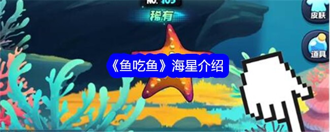 海星介绍：鱼吃鱼游戏攻略