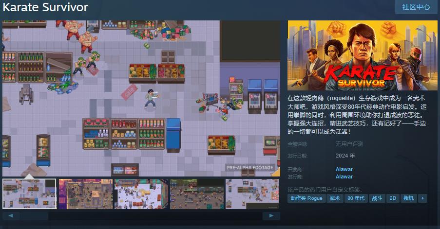 Steam页面支持简体中文：rateSurvivor